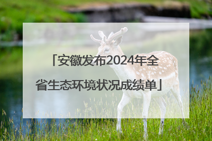 安徽发布2024年全省生态环境状况成绩单
