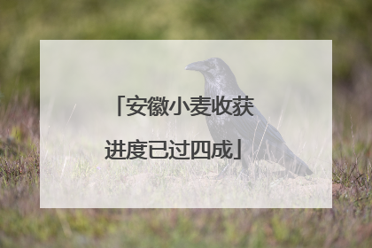安徽小麦收获进度已过四成