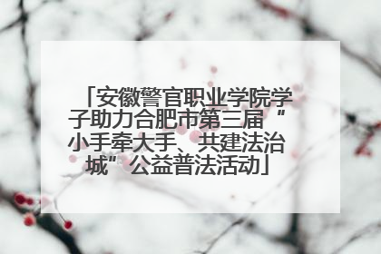 安徽警官职业学院学子助力合肥市第三届“小手牵大手、共建法治城”公益普法活动