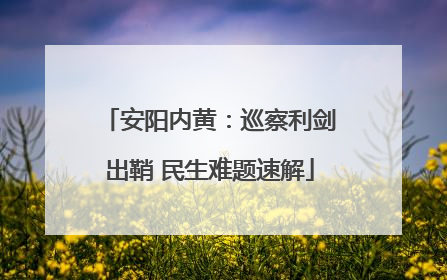 安阳内黄：巡察利剑出鞘 民生难题速解