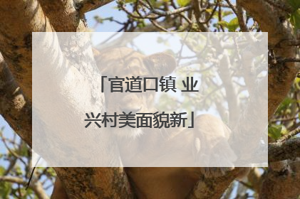 官道口镇 业兴村美面貌新