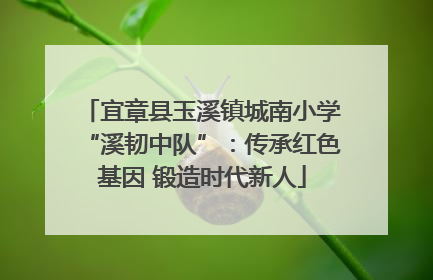 宜章县玉溪镇城南小学“溪韧中队”：传承红色基因 锻造时代新人