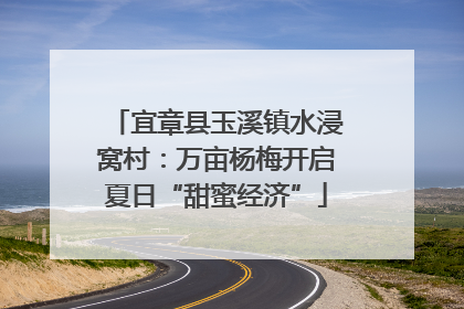 宜章县玉溪镇水浸窝村：万亩杨梅开启夏日“甜蜜经济”