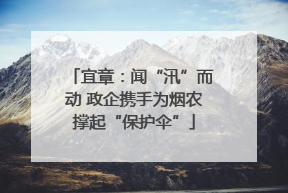 宜章：闻“汛”而动 政企携手为烟农撑起“保护伞”