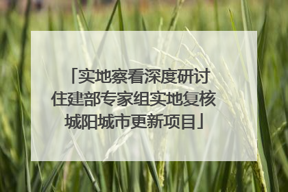 实地察看深度研讨 住建部专家组实地复核城阳城市更新项目