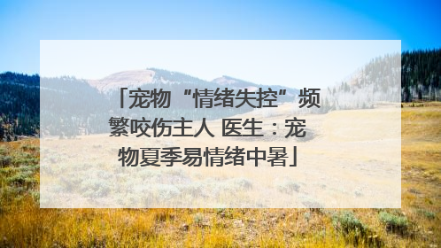 宠物“情绪失控”频繁咬伤主人 医生：宠物夏季易情绪中暑