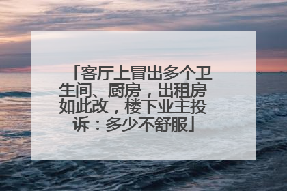 客厅上冒出多个卫生间、厨房，出租房如此改，楼下业主投诉：多少不舒服