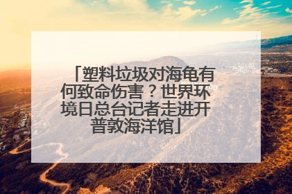 塑料垃圾对海龟有何致命伤害？世界环境日总台记者走进开普敦海洋馆