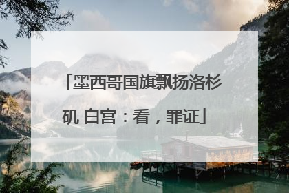 墨西哥国旗飘扬洛杉矶 白宫：看，罪证