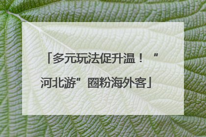 多元玩法促升温！“河北游”圈粉海外客