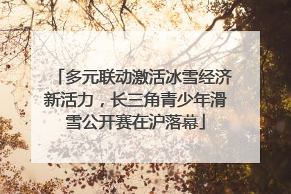 多元联动激活冰雪经济新活力，长三角青少年滑雪公开赛在沪落幕