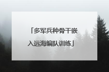 多军兵种骨干嵌入远海编队训练