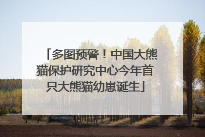 多图预警！中国大熊猫保护研究中心今年首只大熊猫幼崽诞生