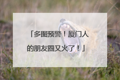 多图预警！厦门人的朋友圈又火了！