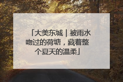 大美东城｜被雨水吻过的荷塘，藏着整个夏天的温柔