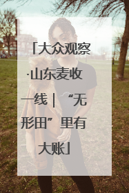 大众观察·山东麦收一线｜“无形田”里有大账