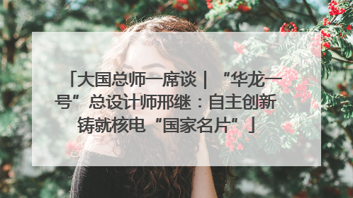 大国总师一席谈｜“华龙一号”总设计师邢继：自主创新铸就核电“国家名片”