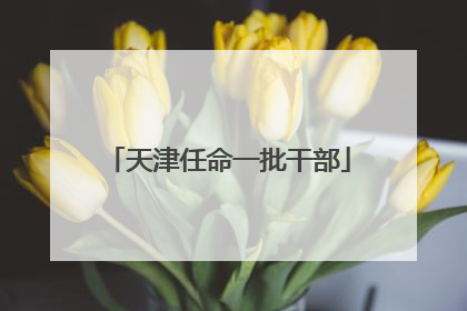 天津任命一批干部