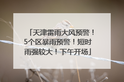 天津雷雨大风预警！5个区暴雨预警！短时雨强较大！下午开场