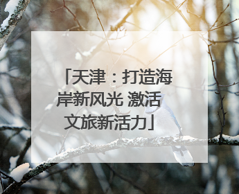 天津：打造海岸新风光 激活文旅新活力