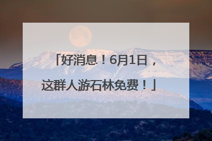 好消息！6月1日，这群人游石林免费！
