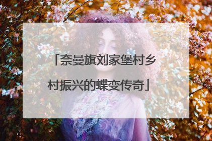 奈曼旗刘家堡村乡村振兴的蝶变传奇