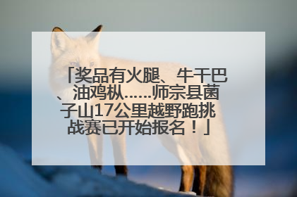奖品有火腿、牛干巴、油鸡枞……师宗县菌子山17公里越野跑挑战赛已开始报名！