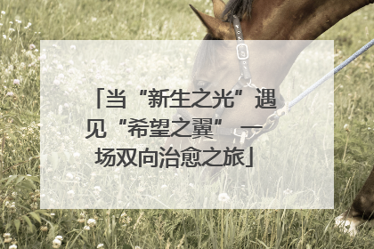 当“新生之光”遇见“希望之翼” 一场双向治愈之旅