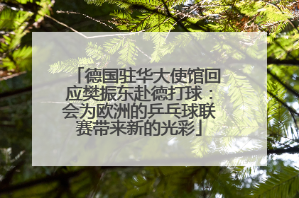 德国驻华大使馆回应樊振东赴德打球：会为欧洲的乒乓球联赛带来新的光彩