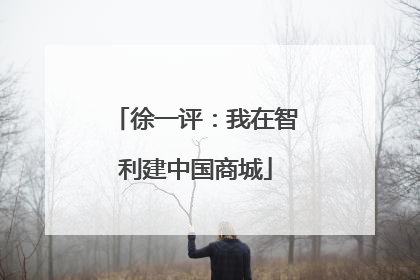 徐一评：我在智利建中国商城