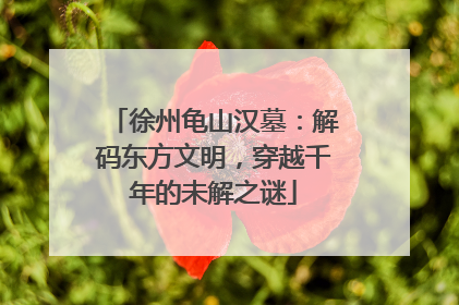 徐州龟山汉墓：解码东方文明，穿越千年的未解之谜