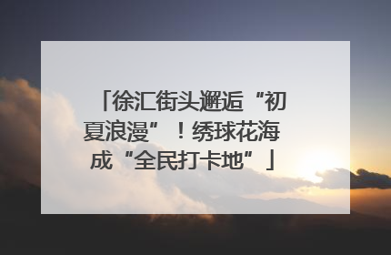 徐汇街头邂逅“初夏浪漫”！绣球花海成“全民打卡地”