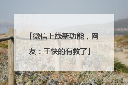 微信上线新功能，网友：手快的有救了