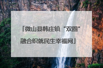 微山县韩庄镇“双圈”融合织就民生幸福网