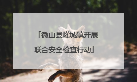 微山县驩城镇开展联合安全检查行动