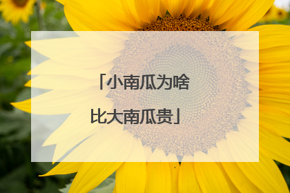 小南瓜为啥比大南瓜贵