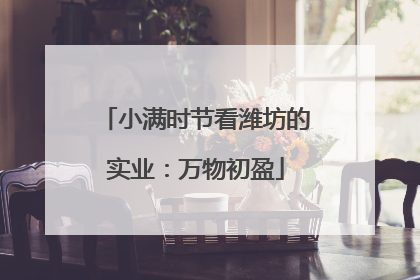 小满时节看潍坊的实业：万物初盈