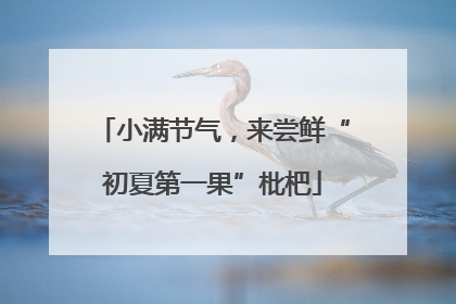 小满节气，来尝鲜“初夏第一果”枇杷