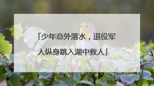 少年意外落水，退役军人纵身跳入湖中救人