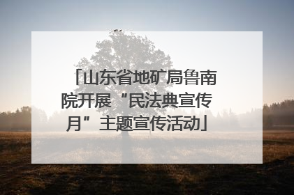 山东省地矿局鲁南院开展“民法典宣传月”主题宣传活动