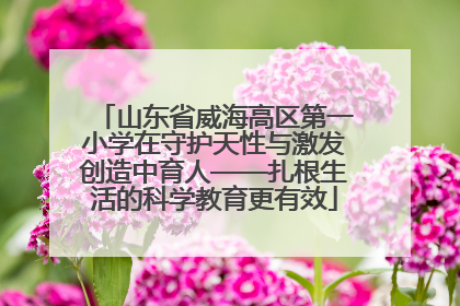 山东省威海高区第一小学在守护天性与激发创造中育人——扎根生活的科学教育更有效