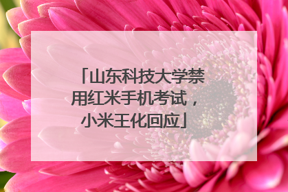 山东科技大学禁用红米手机考试，小米王化回应