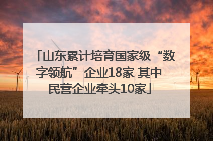 山东累计培育国家级“数字领航”企业18家 其中民营企业牵头10家