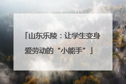 山东乐陵：让学生变身爱劳动的“小能手”