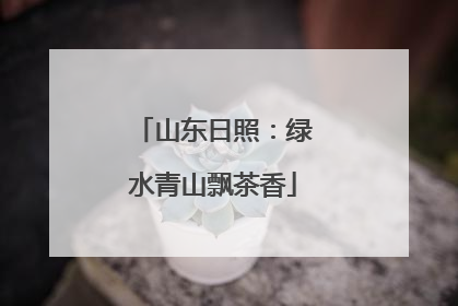 山东日照：绿水青山飘茶香