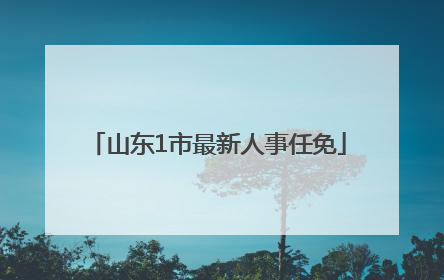 山东1市最新人事任免