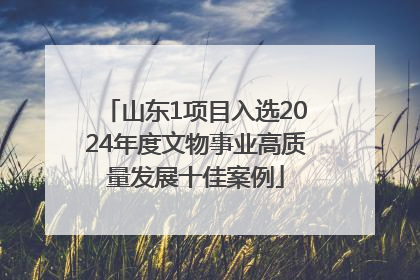山东1项目入选2024年度文物事业高质量发展十佳案例