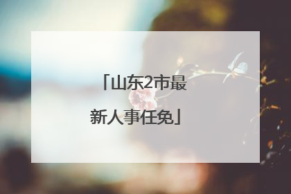 山东2市最新人事任免