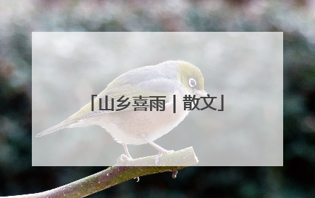 山乡喜雨｜散文