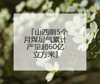山西前5个月煤层气累计产量超60亿立方米